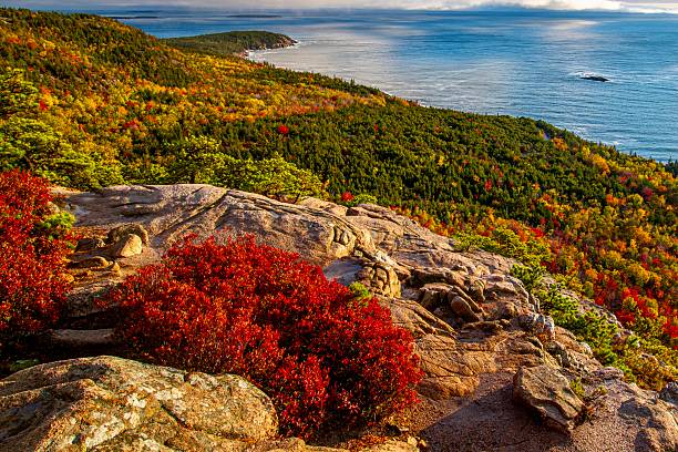 Cadillac Mountain, Acadia National Park