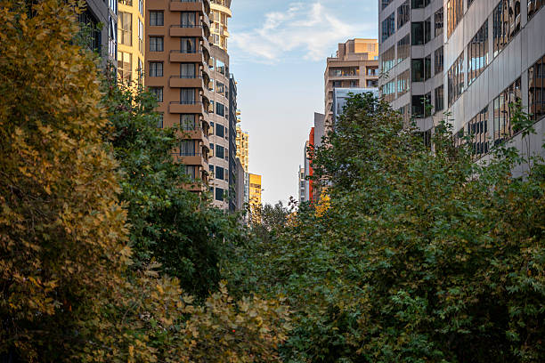 istock Central Business District in Sydney, Australia 2227943087