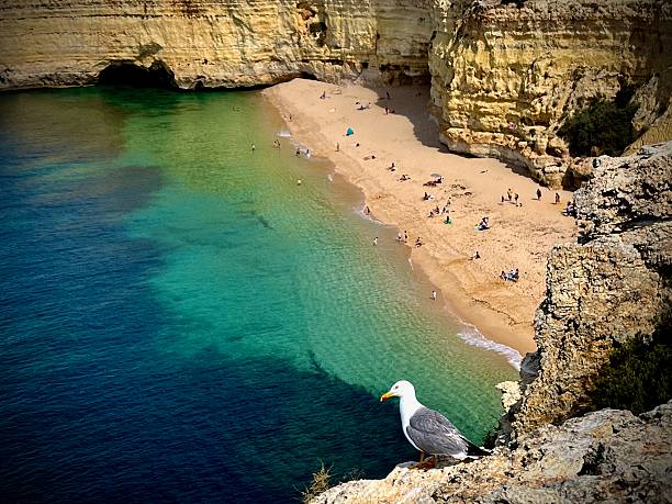 Arcos da Mesquita, a natural double arch near Praia da Mesquita and Praia da Marinha in the Algarve (7 shots stitched)