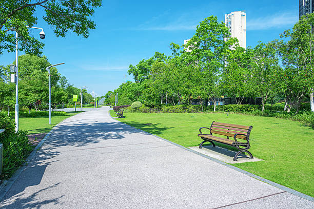 Curved pathway through the beautiful city park