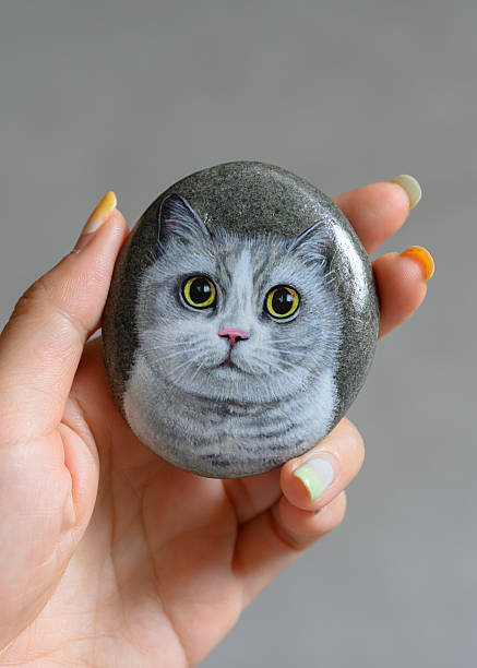 American Shorthair Cat Painted on Stone