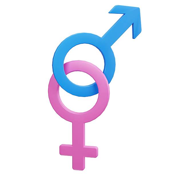 istock Gender Symbols Relationship Connection 2227964297