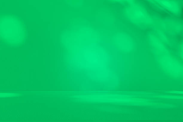 istock Studio style background wall decoration presentation uses white and green tones. with shadows cast from a nearby window, concept creating a decorative 2227964651