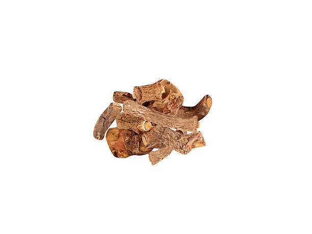 istock Hemidesmus indicus or Indian sarsaparilla dried root barks 2227970339