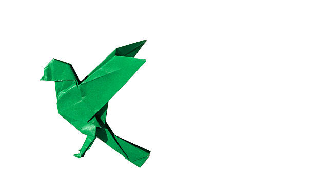 istock Green Origami Bird Robin isolated on white 2227970391