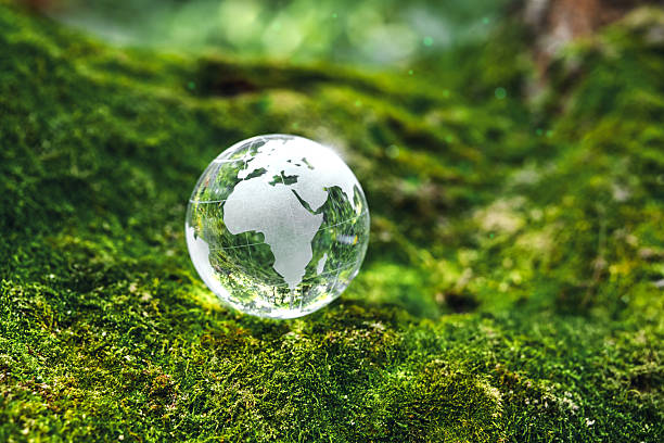 istock Crystal earth in forest Environment save the World earth day and conservation Concept. 2227970789