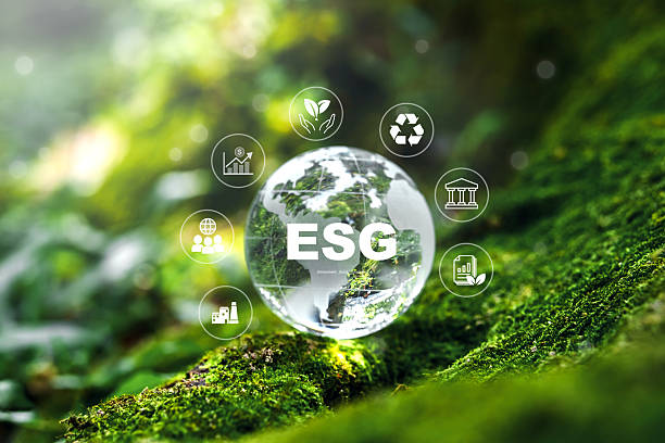 Crystal earth in forest ESG concept ,Sustainable development goal (SDGs) Ideas for Sustainable development SDGs, ESG, NetZero, and co2 concept