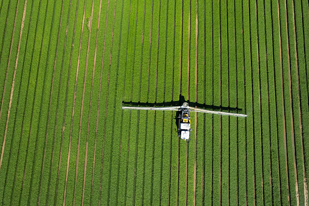 istock Aerial view of organic spraying: protecting basil from pests 2227971052
