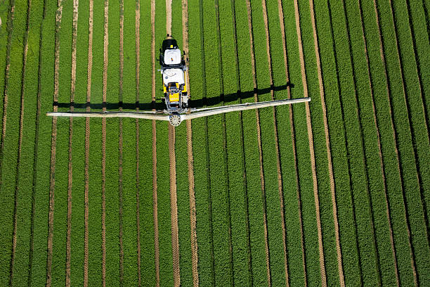 istock Aerial view of organic spraying: protecting basil from pests 2227971084