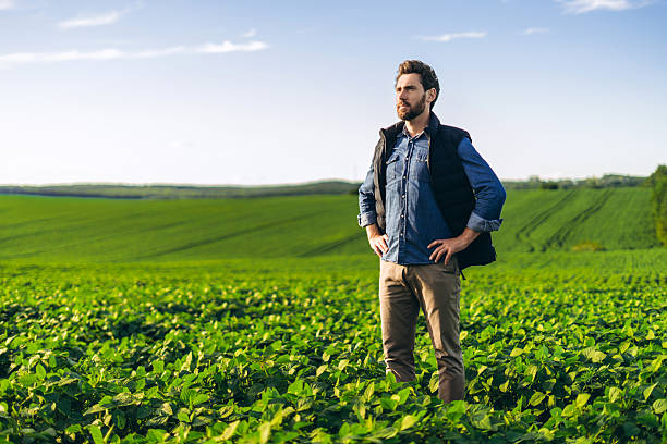 istock Proud farmer standing in cultivated soybean field with hands on hips 2227972263