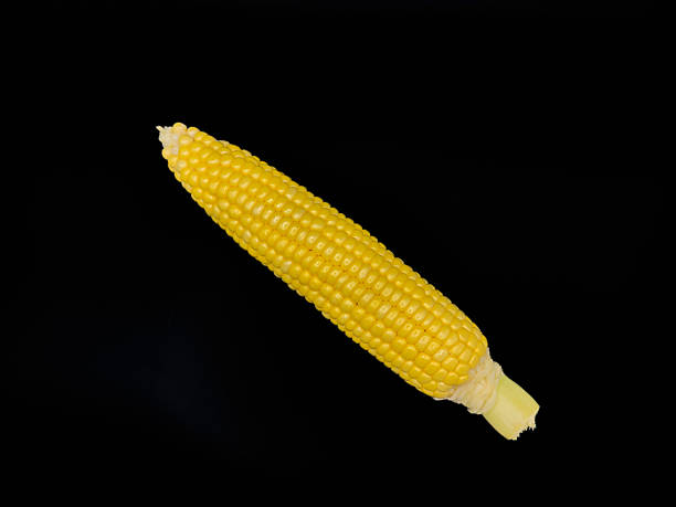 istock A yellow corn stalk with a green stem, white background, copy space, flay lay, top view 2227974464