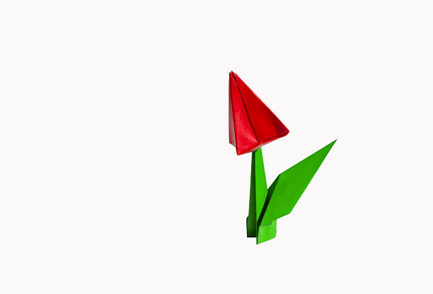 istock Origami red flower, tulip, isolated on white 2227975745