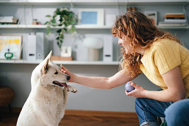 istock Woman Interacting with a Dog in a Cozy Home Environment 2227978064