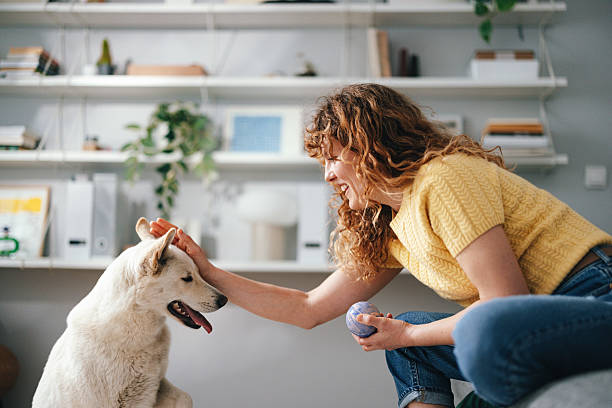 istock Woman Smiling While Bonding With Pet Dog at Home on Couch 2227978067