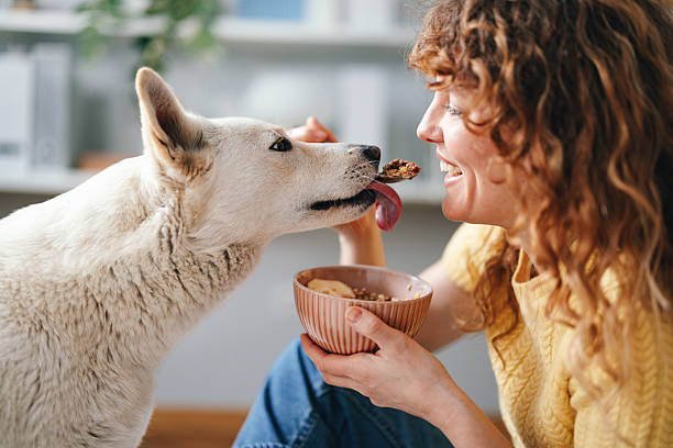 istock Woman Smiling While Feeding Her Dog at Home During Breakfast 2227978081