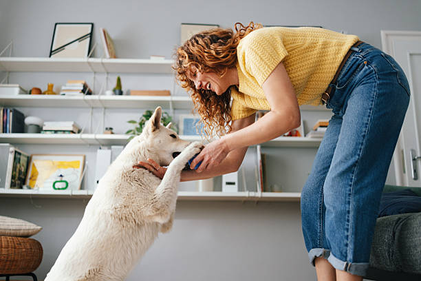istock Woman Playing with Her Dog in a Cozy Home Setting 2227978092