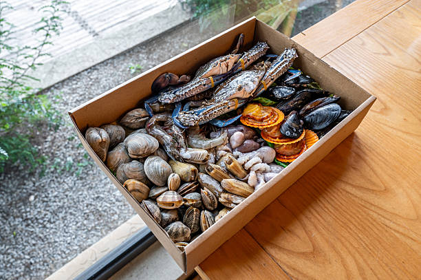 istock Fresh seafood such as crabs and shellfish are placed in takeaway packaging box. 2227983556