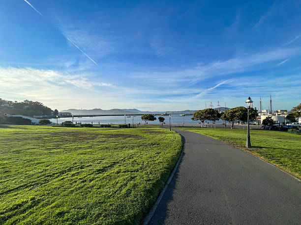istock A park with a path leading to the water 2227984376