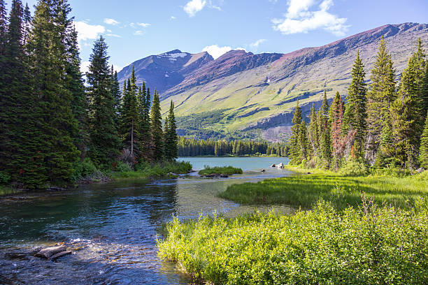 Lake Josephine at Glacier National Park, Montana in June