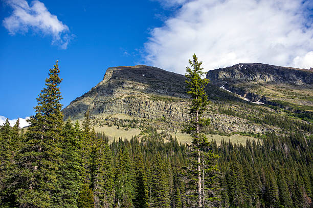 istock Allen Mountain in Glacier National Park 2227985040