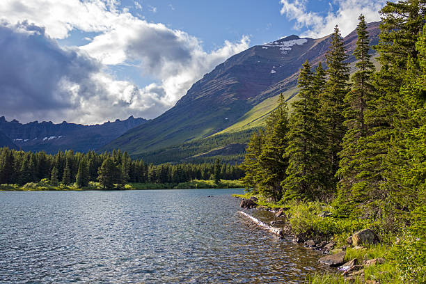 istock Swiftcurrent Lake in Glacier National Park 2227985053
