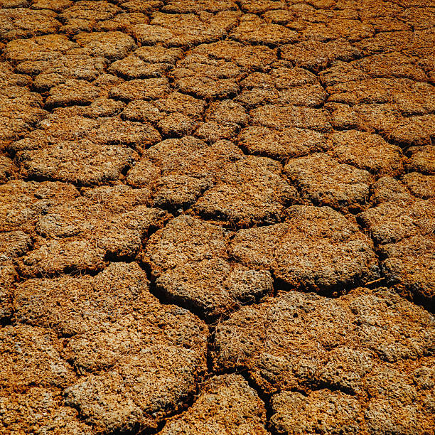 Close-up of desiccation cracks forming natural polygonal patterns on dried soil or mud. These textures reveal the effects of water evaporation and drying processes in arid environments.
