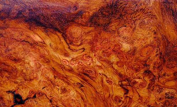 istock Nature afzelia burl wood striped, Exotic wooden beautiful pattern texture background 2227986830