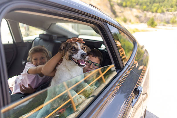 istock Cheerful family going on a road trip 2227989841