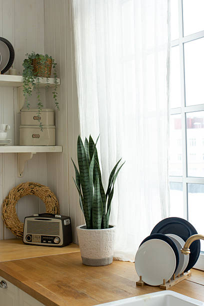 istock Cozy kitchen in light home interior with pastel colors 2227990016