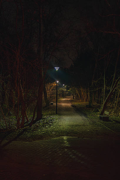 istock Dimly Lit Pathway Through a Quiet Urban Park at Night in Gdansk 2227991789