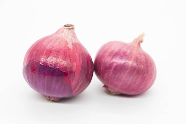 istock Two Red onion, Studio picture against a white background 2227995757
