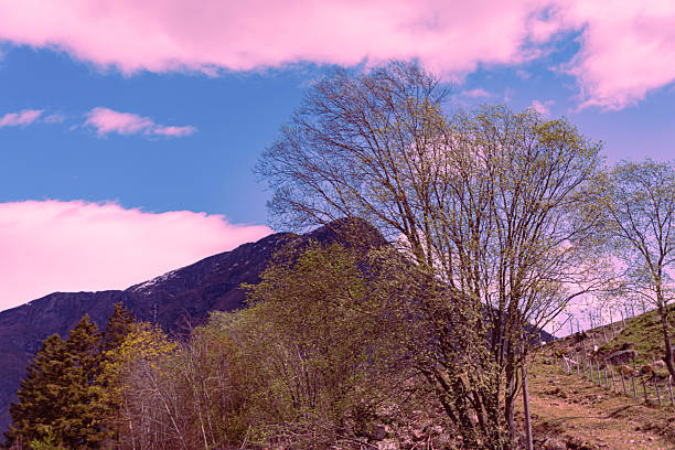 Skjolden - Norway - May 16 - 2023 - Mountain