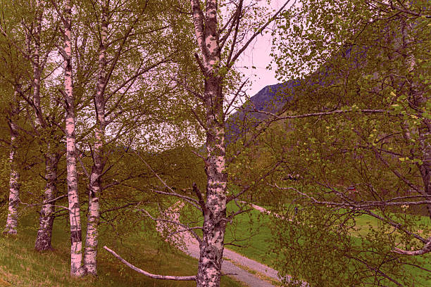 Skjolden - Norway - May 16 - 2023 - Mountain