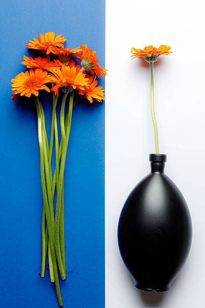 Bouquet of Gerbera daisy flowers in glass bottle vase on white background. Copy space background for social media.