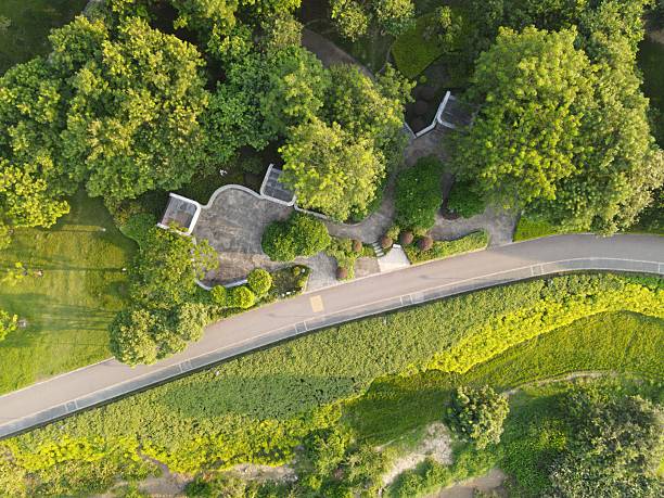 istock Asphalt road through green land 2228001174