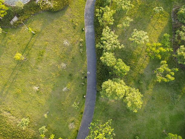 istock Curving asphalt park pedestrian walkway 2228001181