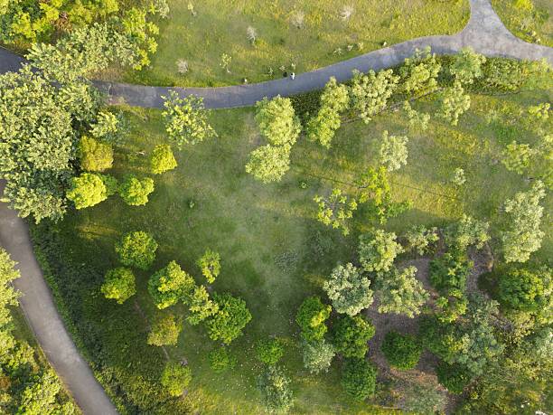 istock Forked aspht road among green land 2228001194
