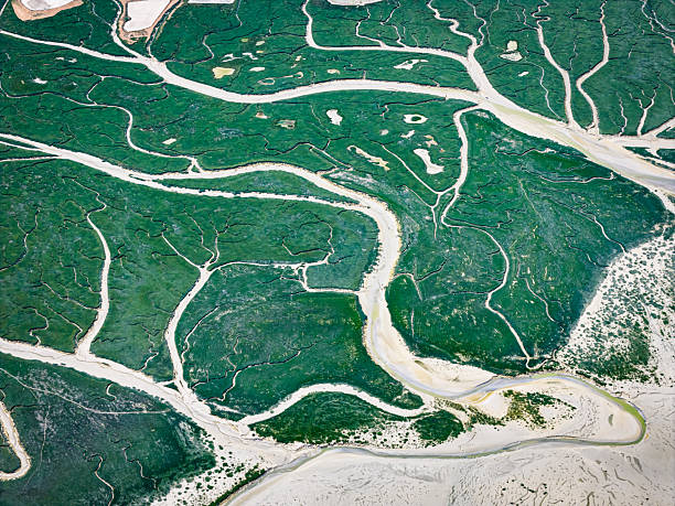 istock Bay of Somme at low Tide from above 2228001436