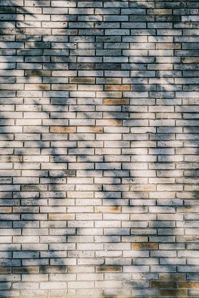 Shadow of tree leaves on a gray brick wall in sunlight