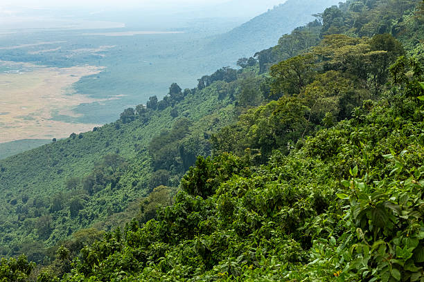Stunning view down into the impressive Ngorongoro Crater.