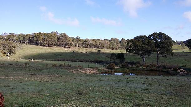 istock Country NSW AUSTRALIA 2228013882