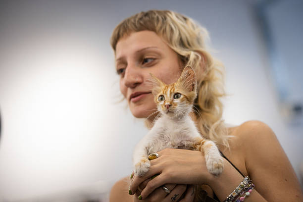 Blonde woman is holding stray cat with her hands.