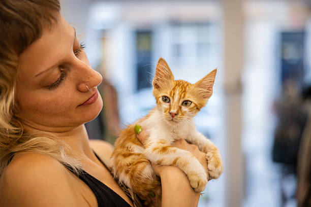 istock Blonde woman is holding ginger stray kitten. 2228015323