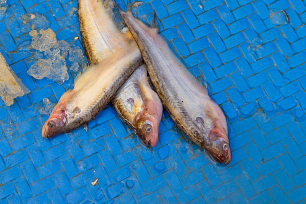 A culturally rich scene from a local fish market in Bengal, India, featuring freshwater fish, a beloved staple in Bengali cuisine. The vibrant display captures the essence of local food traditions and the importance of fish in everyday Bengali meals.