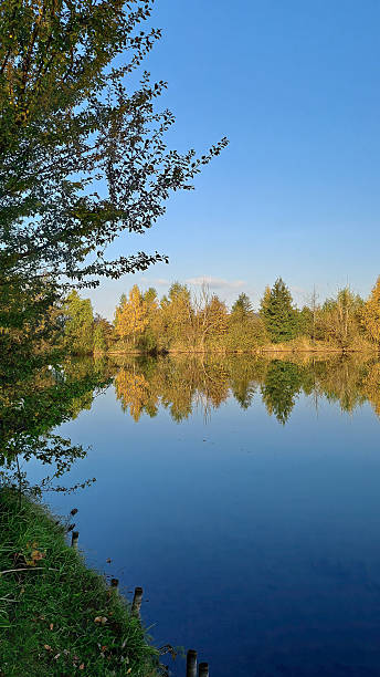 istock Still autumn lake with trees reflecting on the water surface 2228030025