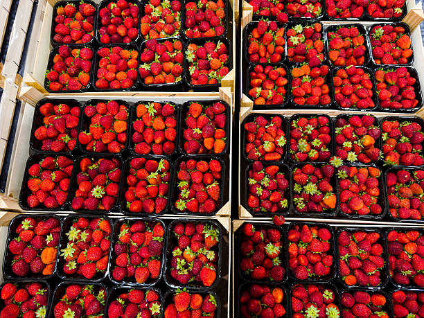 Sweet delicious berry, natural vitamins.