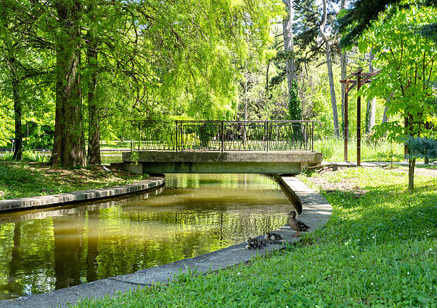 istock The bridge in the park in May 2228039847