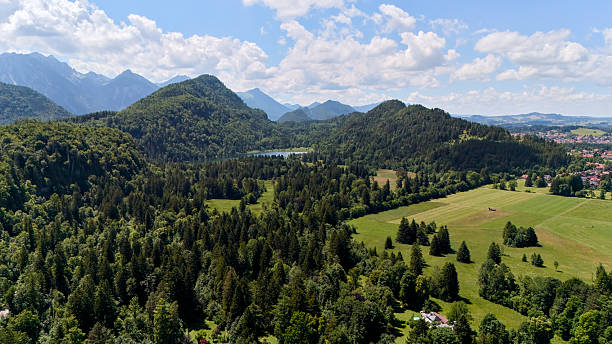 istock Mountain valley with forest and meadow under blue summer sky 2228043379