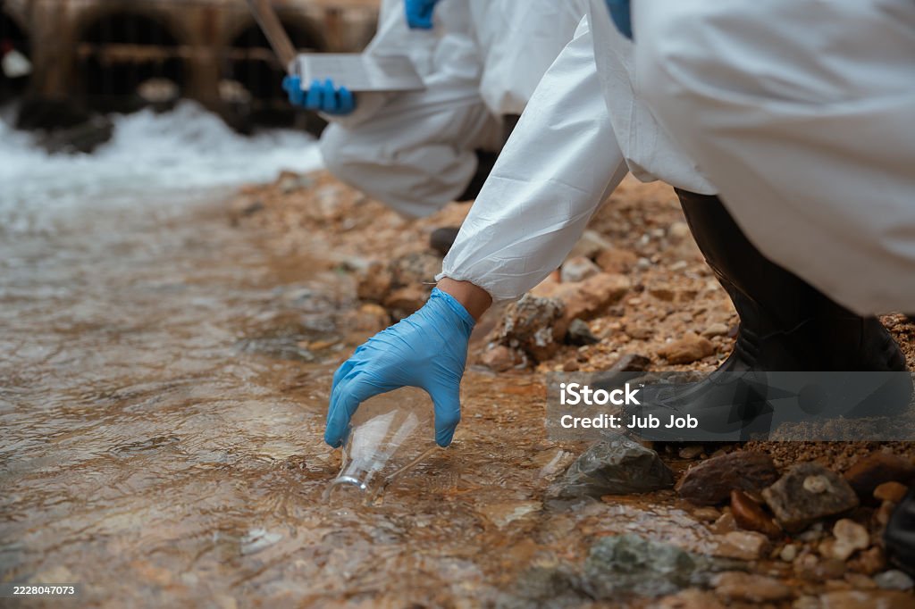 Environment Sample Scientist Collects Water Sample From River For Environmental Testing ...