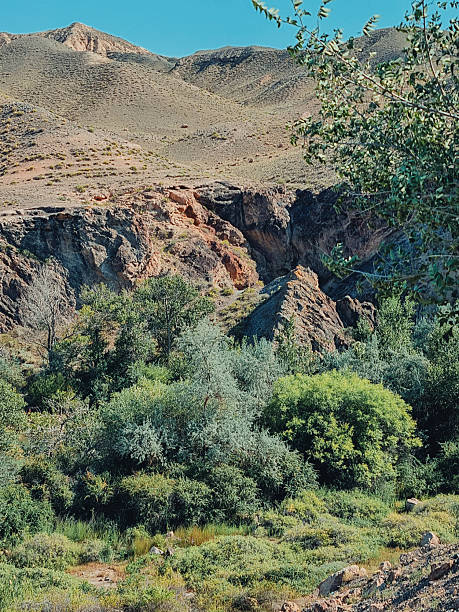 istock Sandy canyon with green bushes and trees 2228048568